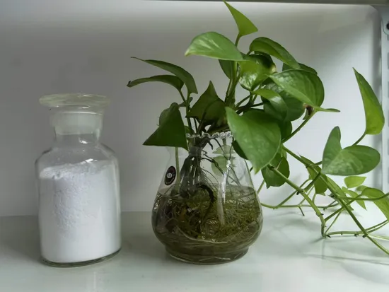 a New Generation of Matting Powder for High