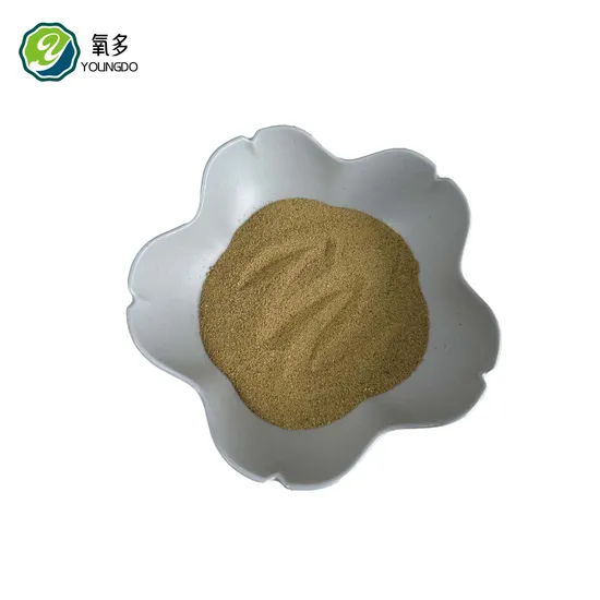 Premium Grade Corn Gluten/ High Protein Chicken Feed Yellow Corn Gluten for Animal Feed Bran Corn Gluten 
